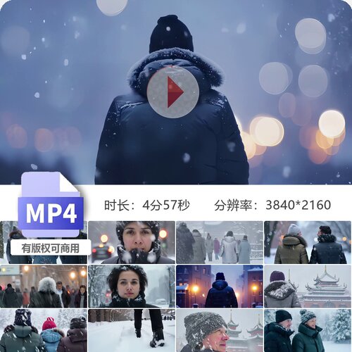 高清暴风雪行人背影城市上班族哈尔滨冬日俄罗斯莫斯科寒视频素材