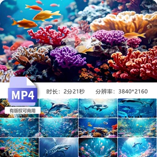 高清4K海洋世界海底鱼群水母珊瑚礁生物生态系统蓝色航拍视频素材