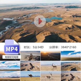 高清可可西里保护区航拍草原雄鹰野生动物荒漠自然风光视频素材