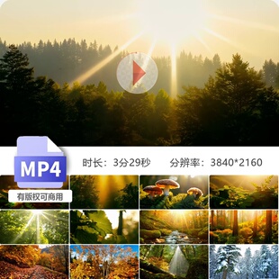 高清森林阳光大自然溪流蜗牛苔藓昆虫鸟小动物野生丁达尔云雾清晨