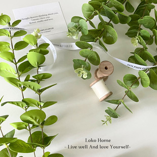 LOKO仿真绿植树枝尤加利枝叶片北欧客厅插花拍摄道具假花绢花ins