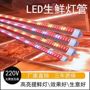 黄光灯带led烧腊烤鸭柜水果熟食红光生鲜灯暖光蔬菜猪肉灯管摊档