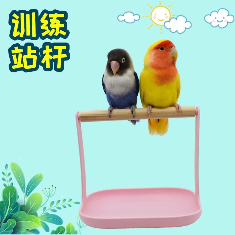 玄凤鹦鹉站杆架桌面训练手养鹦鹉定点排便站架鹦鹉站架落地站台