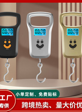 迷你口袋小称吊钩便捷家用手提防水公平小型蔬菜可携式电子秤东