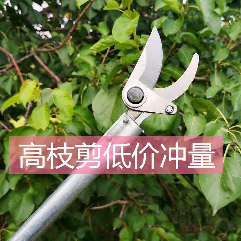 高枝剪高空剪果枝剪刀园林高空剪刀伸缩高空采摘剪厂家