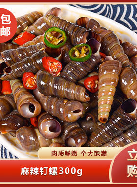 麻辣钉螺300g即食海螺丝捞汁小海鲜螺类海鲜麻辣海鲜熟食商用