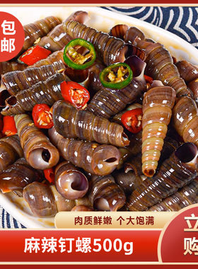 麻辣钉螺500g即食海螺丝捞汁小海鲜螺类海鲜麻辣海鲜熟食商用