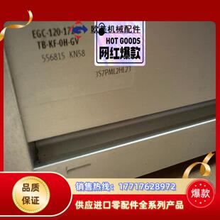 120 原装 电缸EGC 费斯托FESTO齿型带式 1724议价 正品