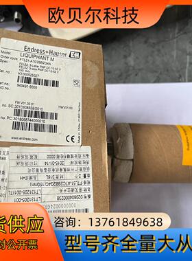 EH 音叉液位开关传感器 FTL51-ATC2BB2G4A