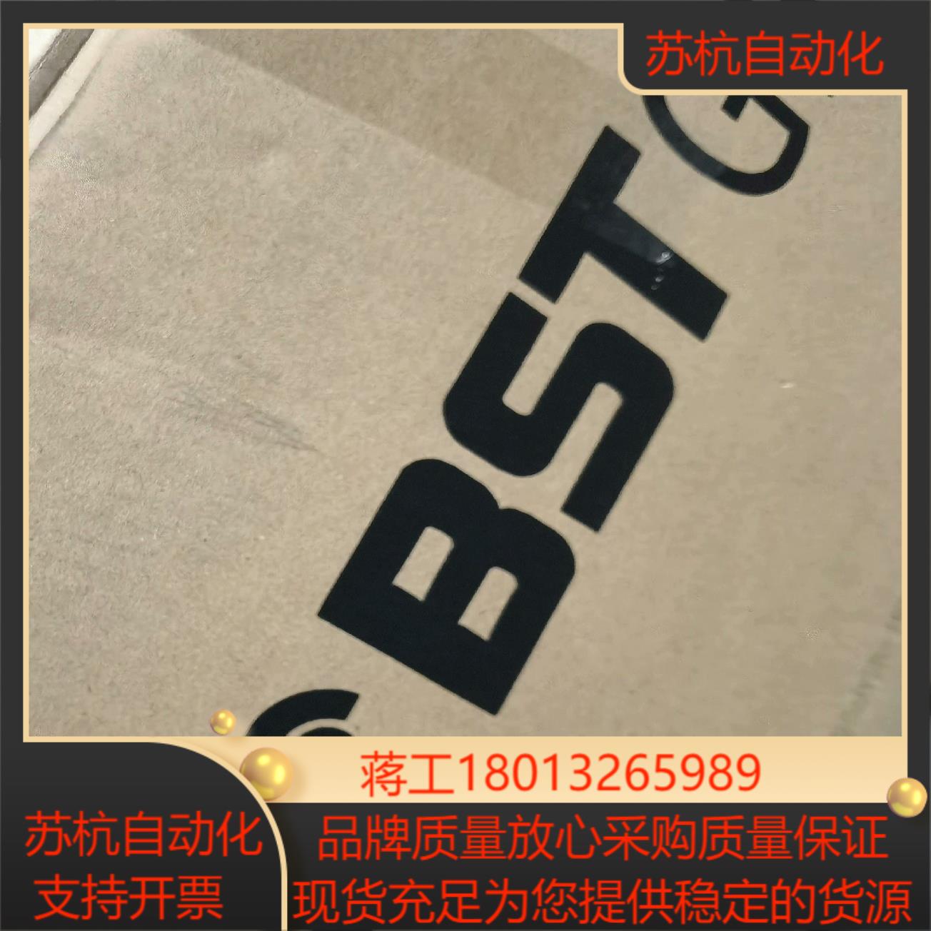 BST纠偏电机，EMS17/100/2.4/16-5/C80