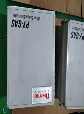 [德峰]Thermo塞默飞 PY-GAS  4,4X,12,13