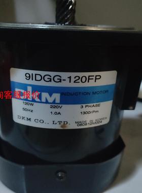 DKM电机，9IDGG-120FP