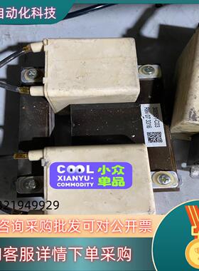 现货300551-C03 电抗器