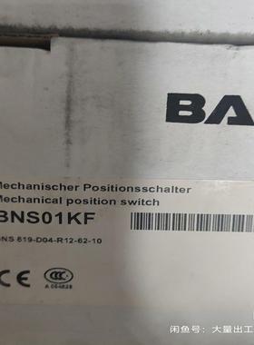 BNS 819-D04-R12-62-10 BNS01KF巴