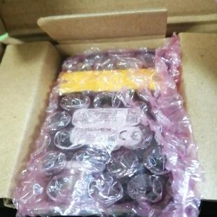 1110 康耐視DM262X P讀嗎器