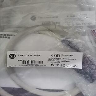 1492 PLC 罗克韦尓AB CAB010P62