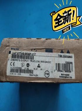 PLC DAP 217/ AS-BDAP-217  AEG