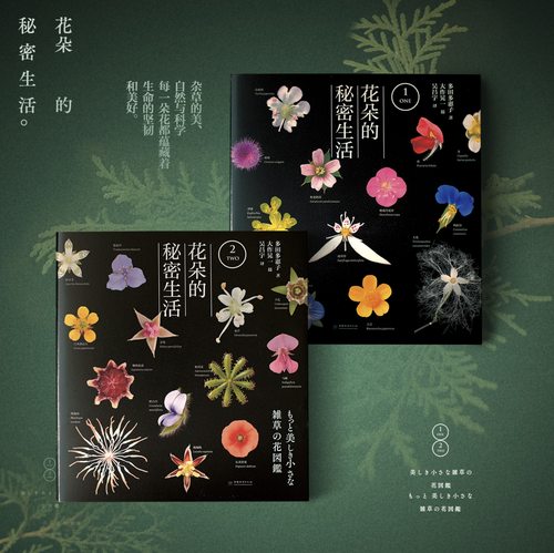 花朵的秘密生活（全两册 赠送卡片和笔记本）畅销日本的科普力作 2407+2408 中国林业出版社正版畅销书籍