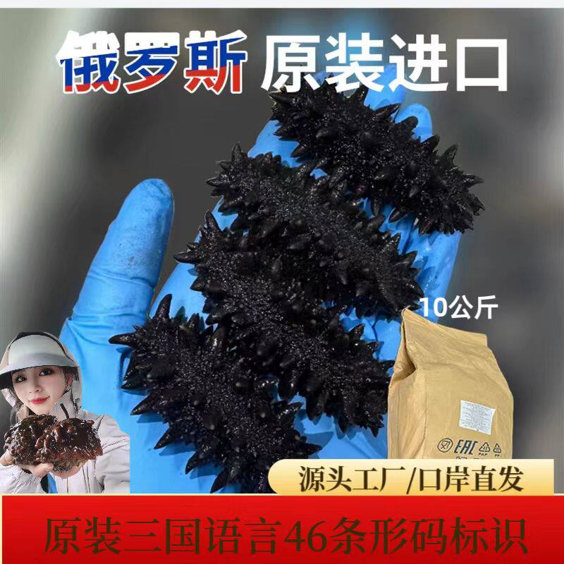 【安心原料5斤划算】俄罗斯纯野拉缸盐/盐渍海参5-6倍泡发