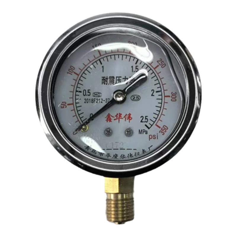 厂家直销仪表耐震防震抗震压力表 YN-60 0-1.6MPa充油压力