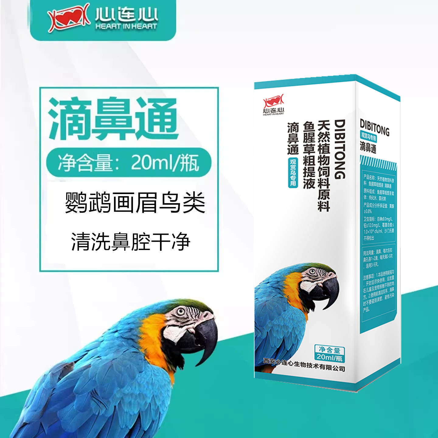 心连心鹦鹉鸟用玄风呼吸道