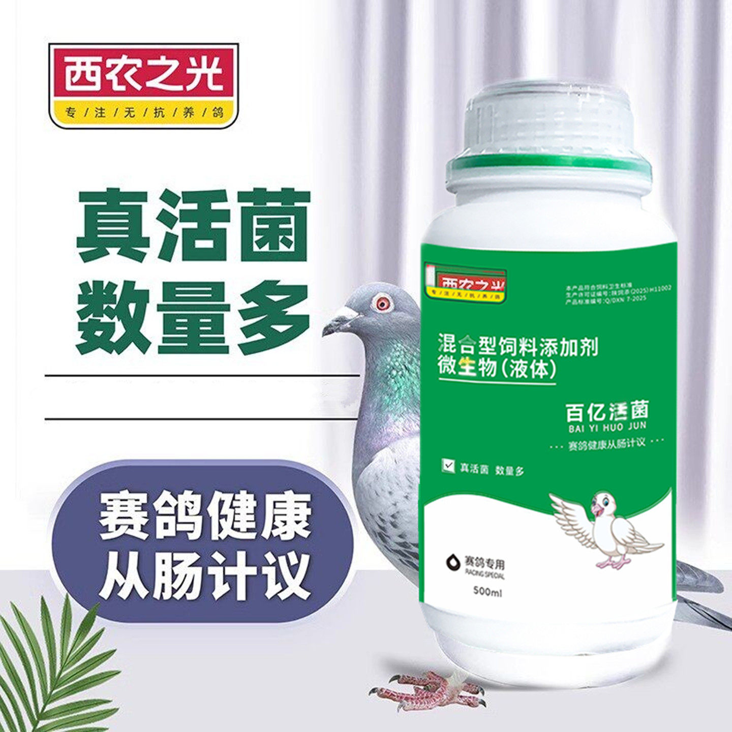 西农之光鸽子鸟鹦鹉肠道粪便稀噬菌益生菌群百益活菌王饲料非鸽药