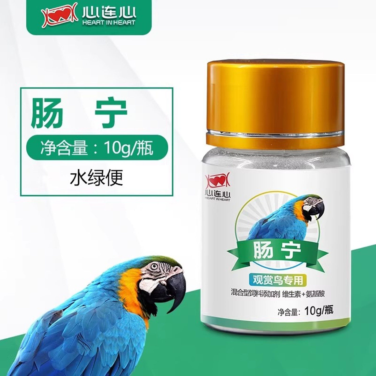 心连心鹦鹉鸟用肠宁肠道水便