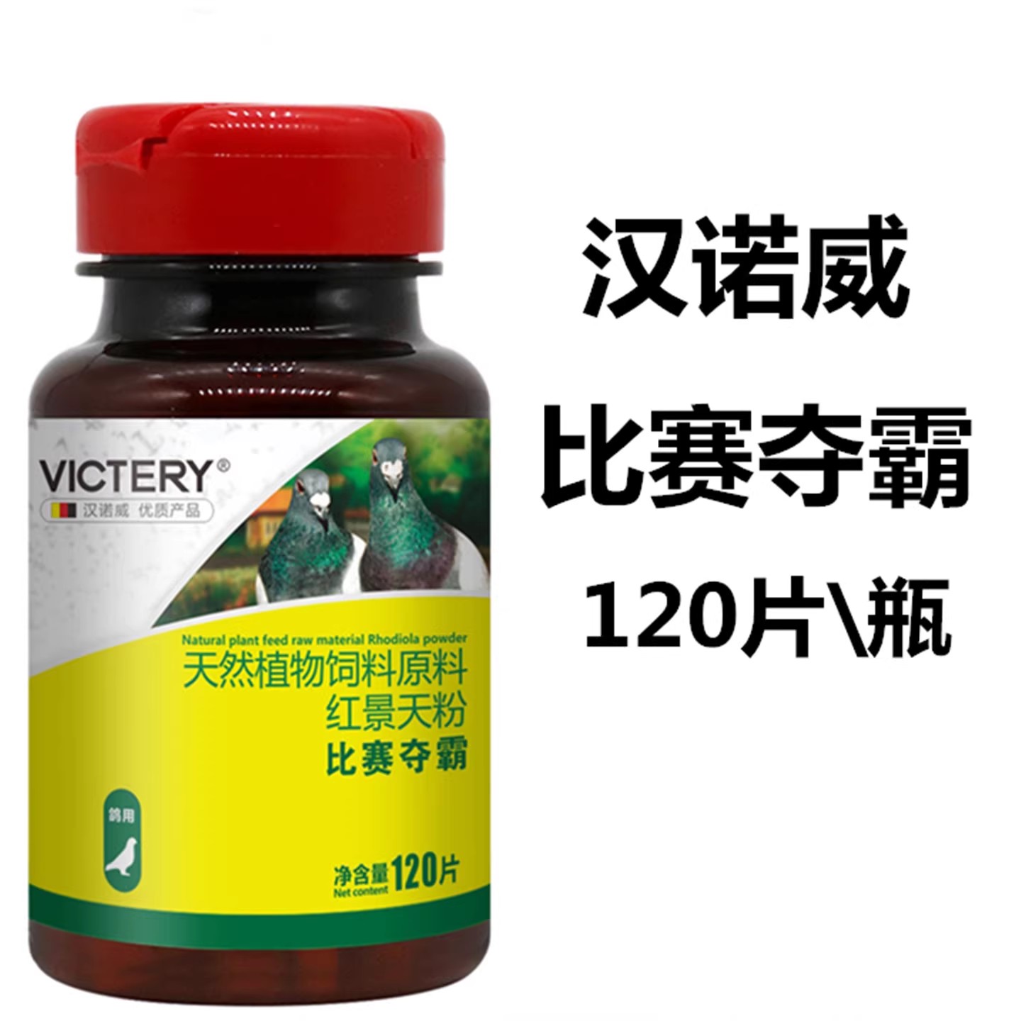 鸽子药汉诺威赛鸽比赛提速鸽子