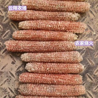 玉米棒芯环保烧火材料干包谷棒子种蘑菇宠物磨牙儿童手工DIY玩具