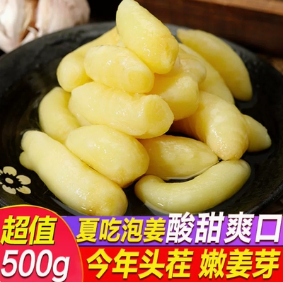 酸甜脆嫩泡姜芽咸菜山东特产仔子生姜芽片泡菜下饭菜新鲜腌制
