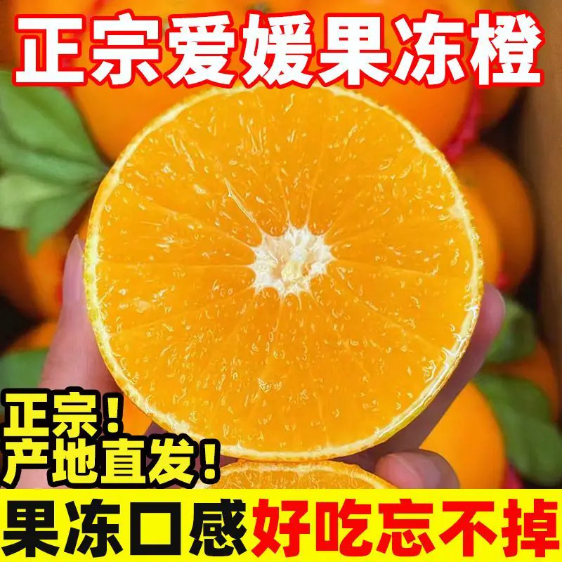 爱媛38号果冻橙新鲜橙子水果当季整箱四川甜柑橘批发大果包邮