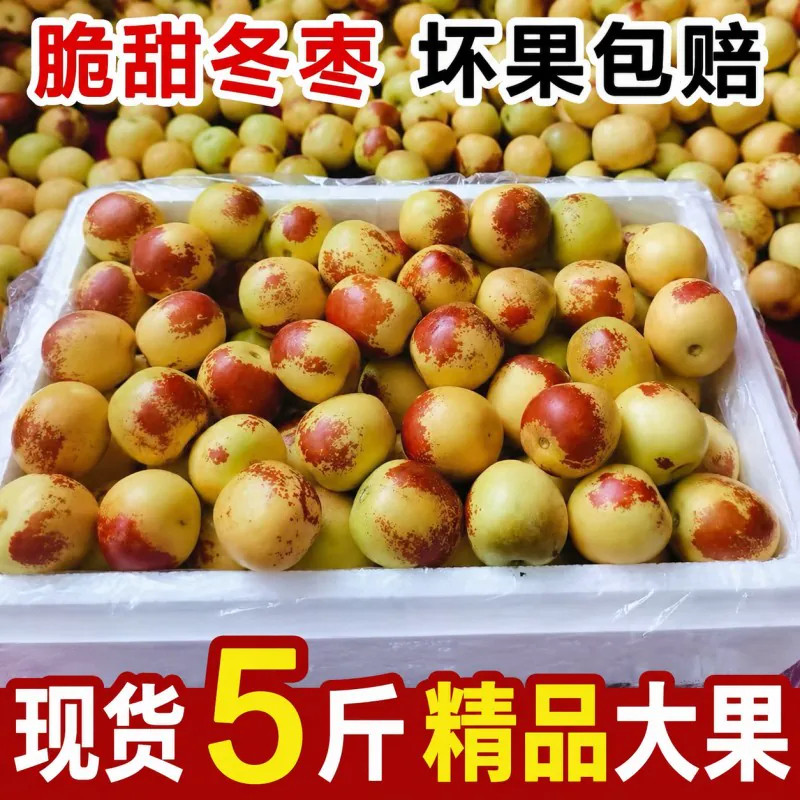 正宗头茬开园冬枣新鲜水果冰糖甜脆多汁新鲜大枣孕妇整箱5斤包邮