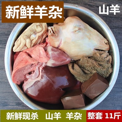 新鲜羊杂生羊杂一套杂碎