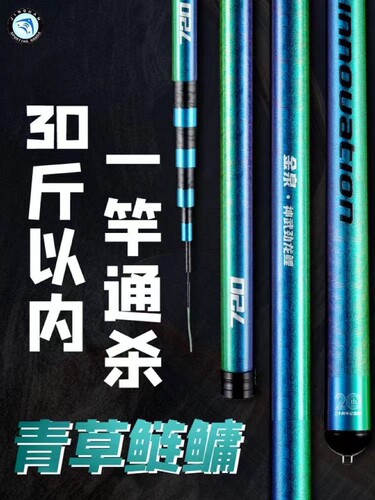 金泉神武劲龙鲤20周年纪念版新款鲢鳙轻量大物竿综合竿钓鱼竿手竿