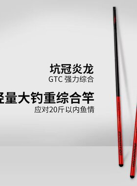 金泉炎龙GTC强力轻量综合竿28调超轻超硬休闲大物台钓鱼竿手杆