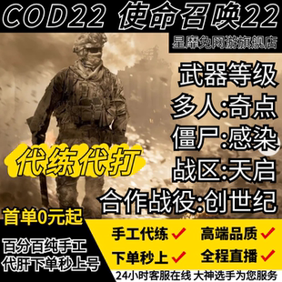 使命召唤cod22代练代肝打代刷创世纪奇点感染启示录金皮武器等级
