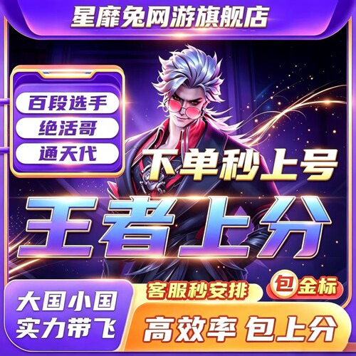 王者荣耀代打代练大小国标代打排位百星巅峰战力省标金标魔方国服