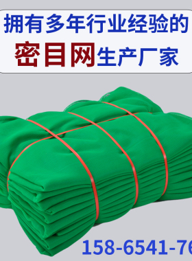 建筑工地脚手架安全网外架阻燃密目网装修网电梯防坠网绿色防尘网