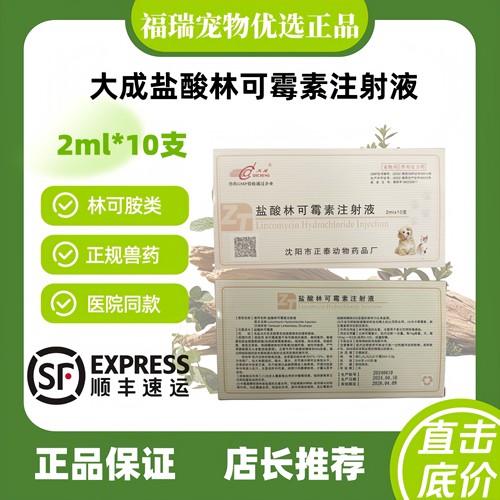 革兰氏阳性菌感染林可胺类抗生素