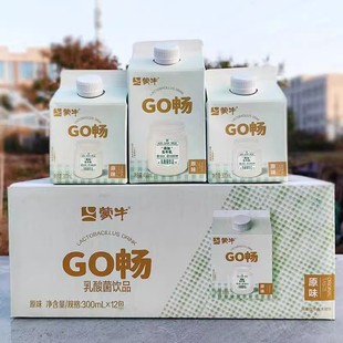 蒙牛GO畅乳酸菌饮品酸奶原味乳酸菌发酵饮品儿童营养早餐牛奶整箱