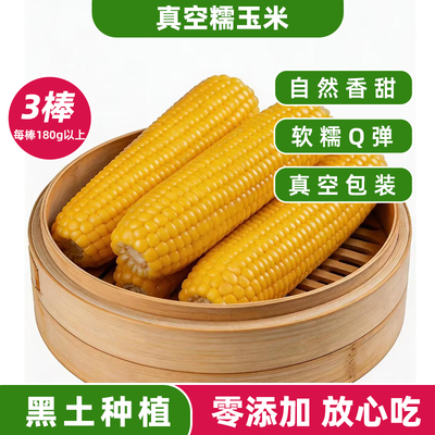 东北甜糯黄玉米3只【真空鲜甜】