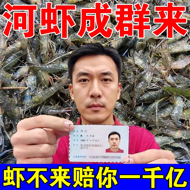 河虾成群来】河虾饵料饲料鱼食池