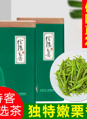 2026雨前特级信阳毛尖