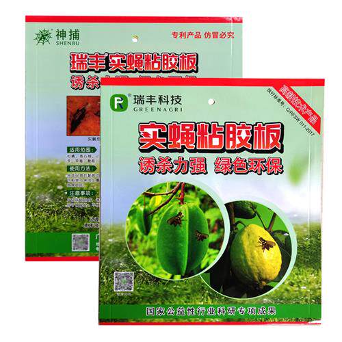 实蝇粘胶板果蝇贴灭果蝇诱捕器瓜果实蝇诱粘剂针蜂引诱剂粘虫蜜蜂
