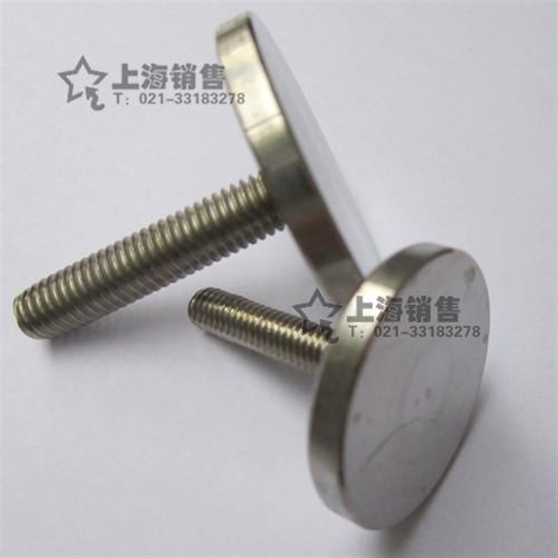 304不锈钢大头圆头带m丝杆广告钉螺丝M6M8M10*20 30405060mm装饰