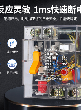 透明DZ18L-32家用漏电保护器 工地手提电箱开关带漏保220V总闸32A