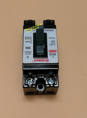 MCCB BS121a 出口断路器10A 20A 30A 15A 2P空气开关 漏电保护器