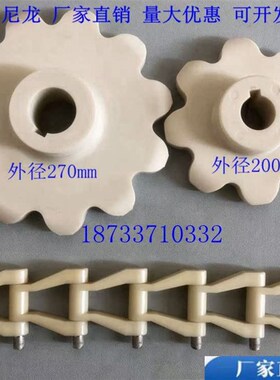 REX-NH78气浮机刮泥机刮渣机塑料链条69.3节距尼龙传动链条链轮