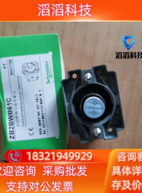 现货ZB2BWB61C 全新 10个200看
