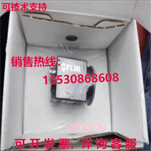 FLIR BFLY-PGE-31S4M-C  /库存现货